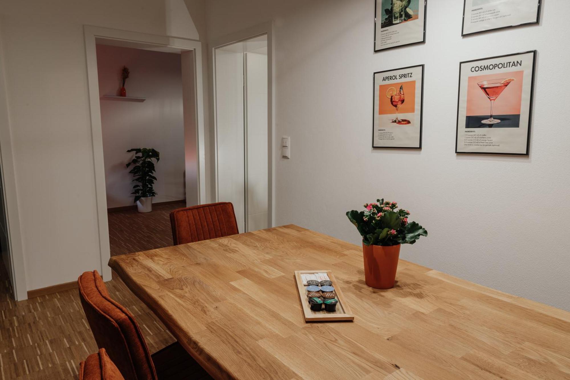 Passaus Motto Appartements! Solo - Paerchen - Familien - Gruppen Rom bilde
